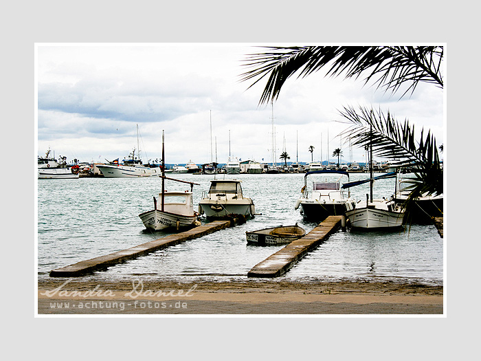Alcudia