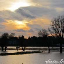 Hochwasser 01.2011