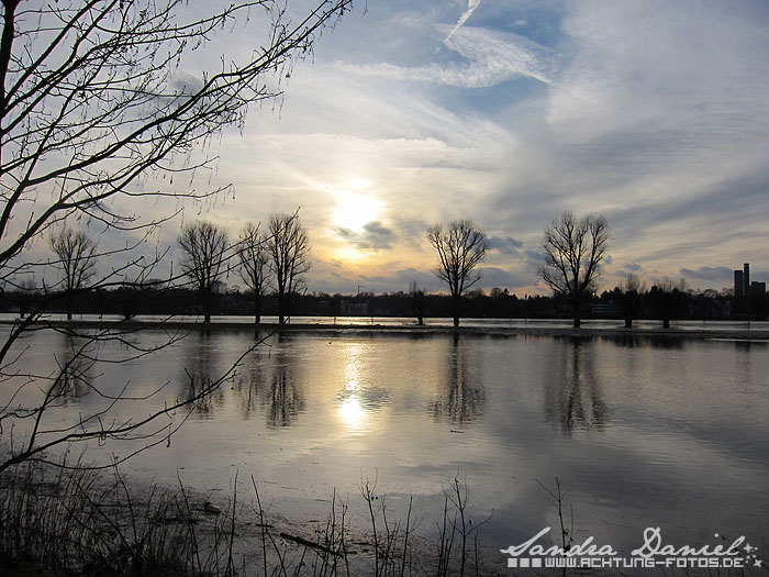 Hochwasser 01.2011