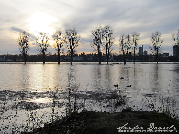 Hochwasser 01.2011