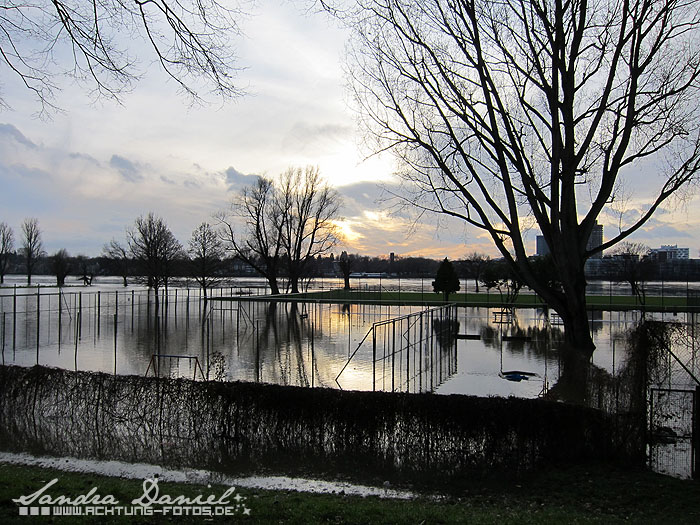 Hochwasser 01.2011