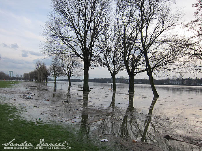 Hochwasser 01.2011