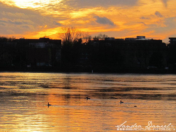 Hochwasser 01.2011