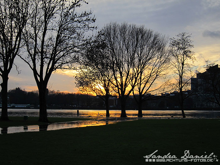 Hochwasser 01.2011