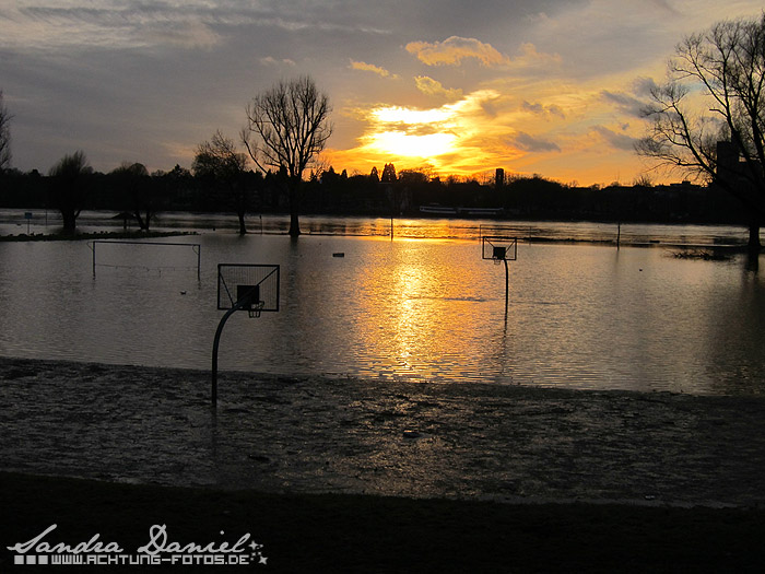 Hochwasser 01.2011