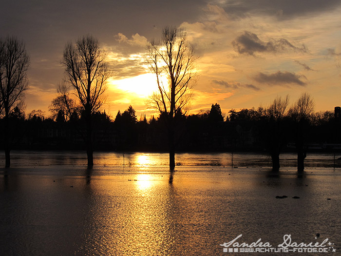 Hochwasser 01.2011