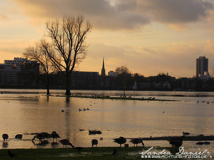Hochwasser 01.2011
