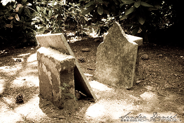 Leipziger Südfriedhof