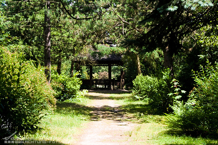 Leipziger Südfriedhof