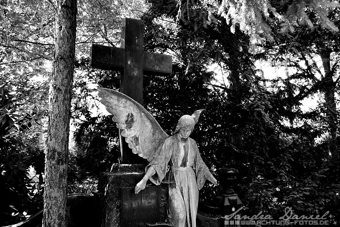 Leipziger Südfriedhof