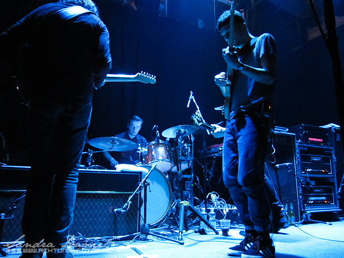 The Maccabees