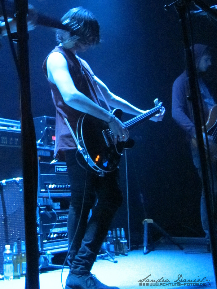 The Maccabees