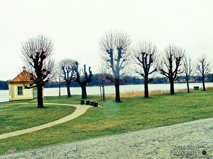 Schloss Moritzburg