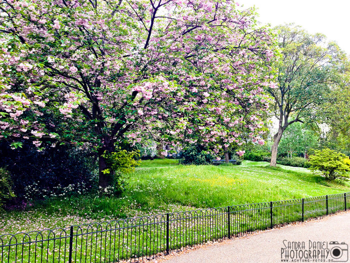 Italian Gardens / Hyde Park