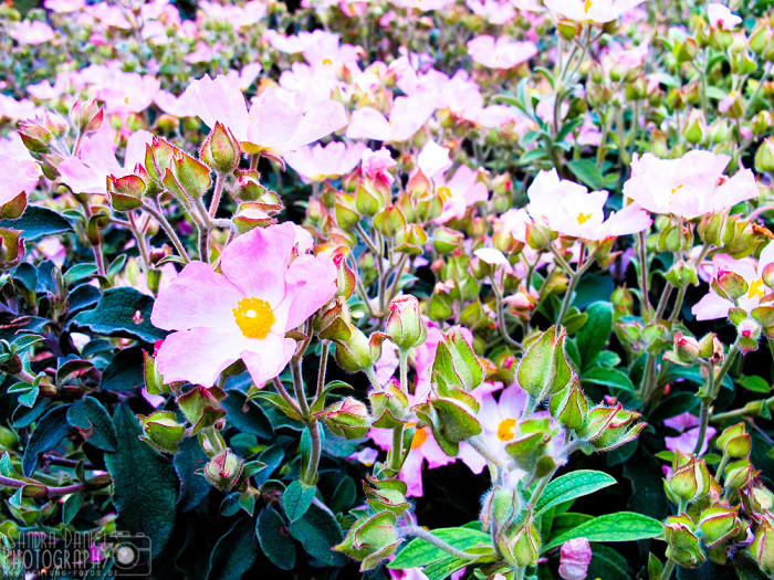 Trinity Square Gardens