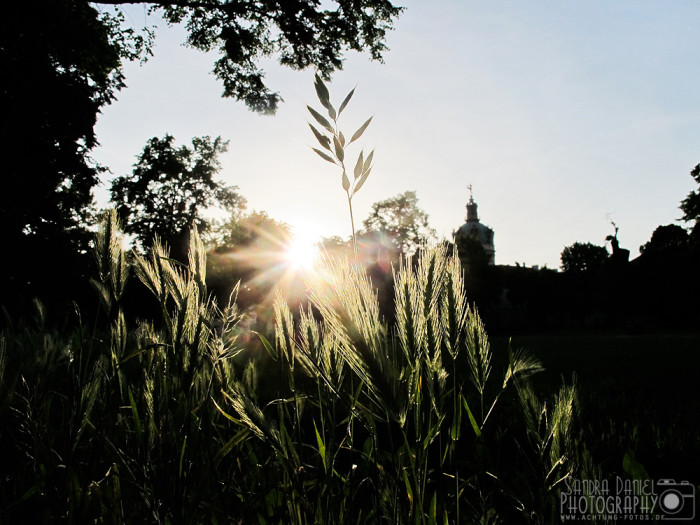 Schloss Charlottenburg