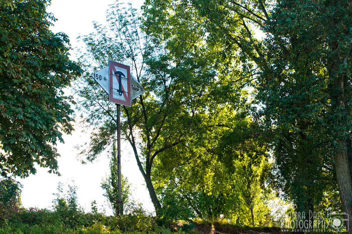Rheinpark Köln