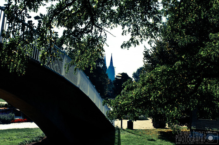Rheinpark Köln
