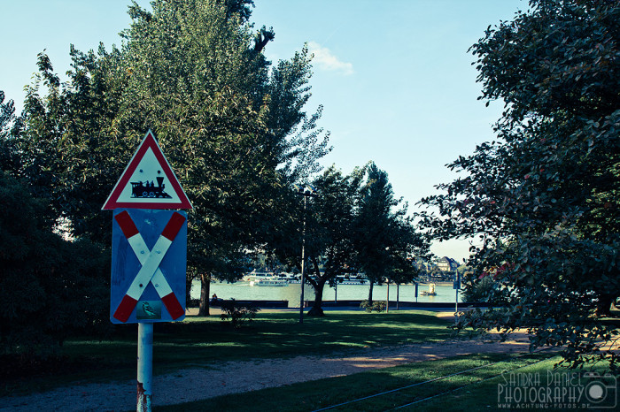 Rheinpark Köln