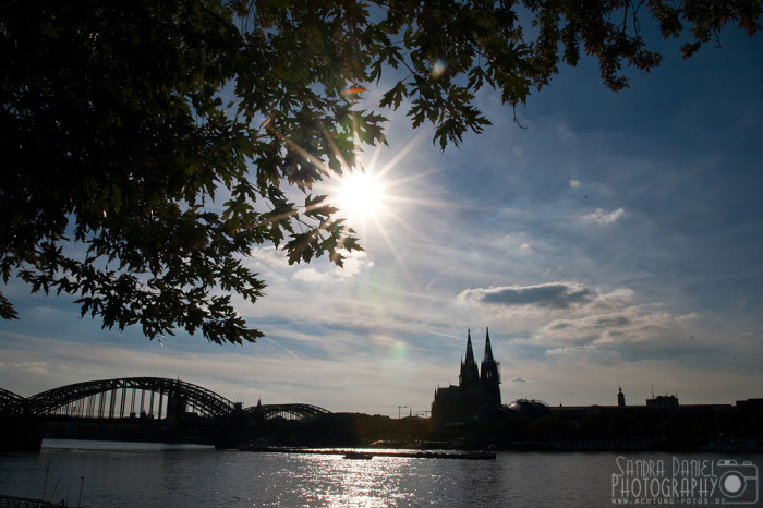 Rheinpark Köln