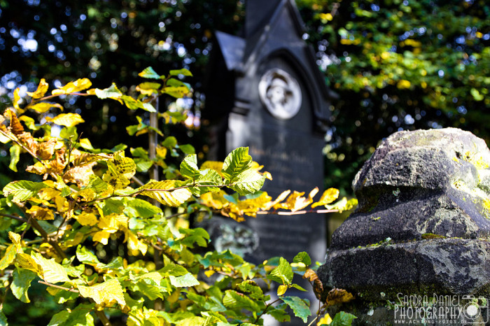 Melaten-Friedhof