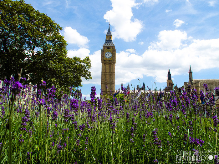 Parliament Square