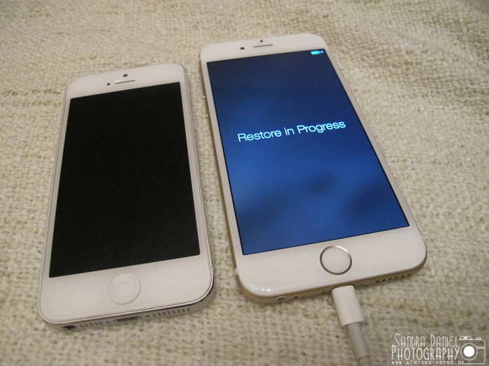 iPhone 6
