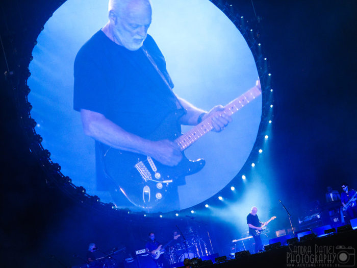 David Gilmour