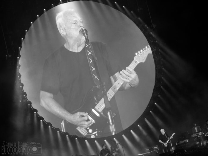 David Gilmour