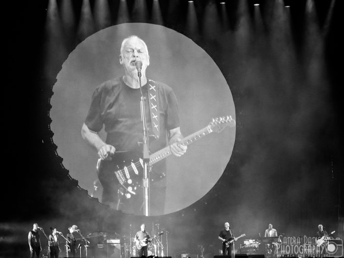 David Gilmour